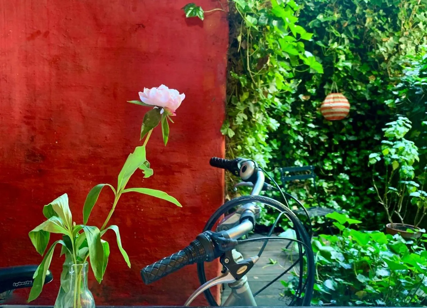 Heaven At 11, Your Deluxe Studio With Personal Bathroom, Kitchenette & Terrace Ghent Bed & Breakfast